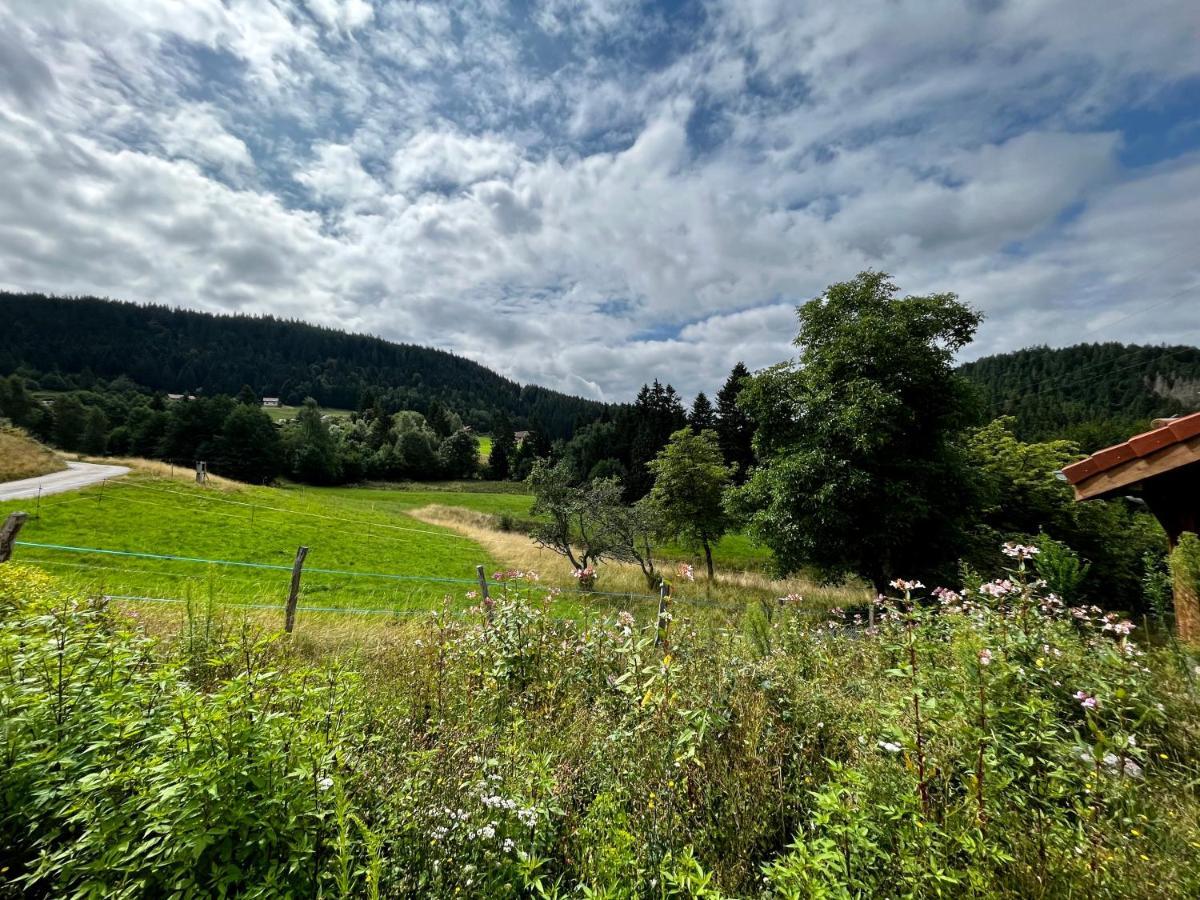 Stone Lake Luxury Lodge Gérardmer Zewnętrze zdjęcie